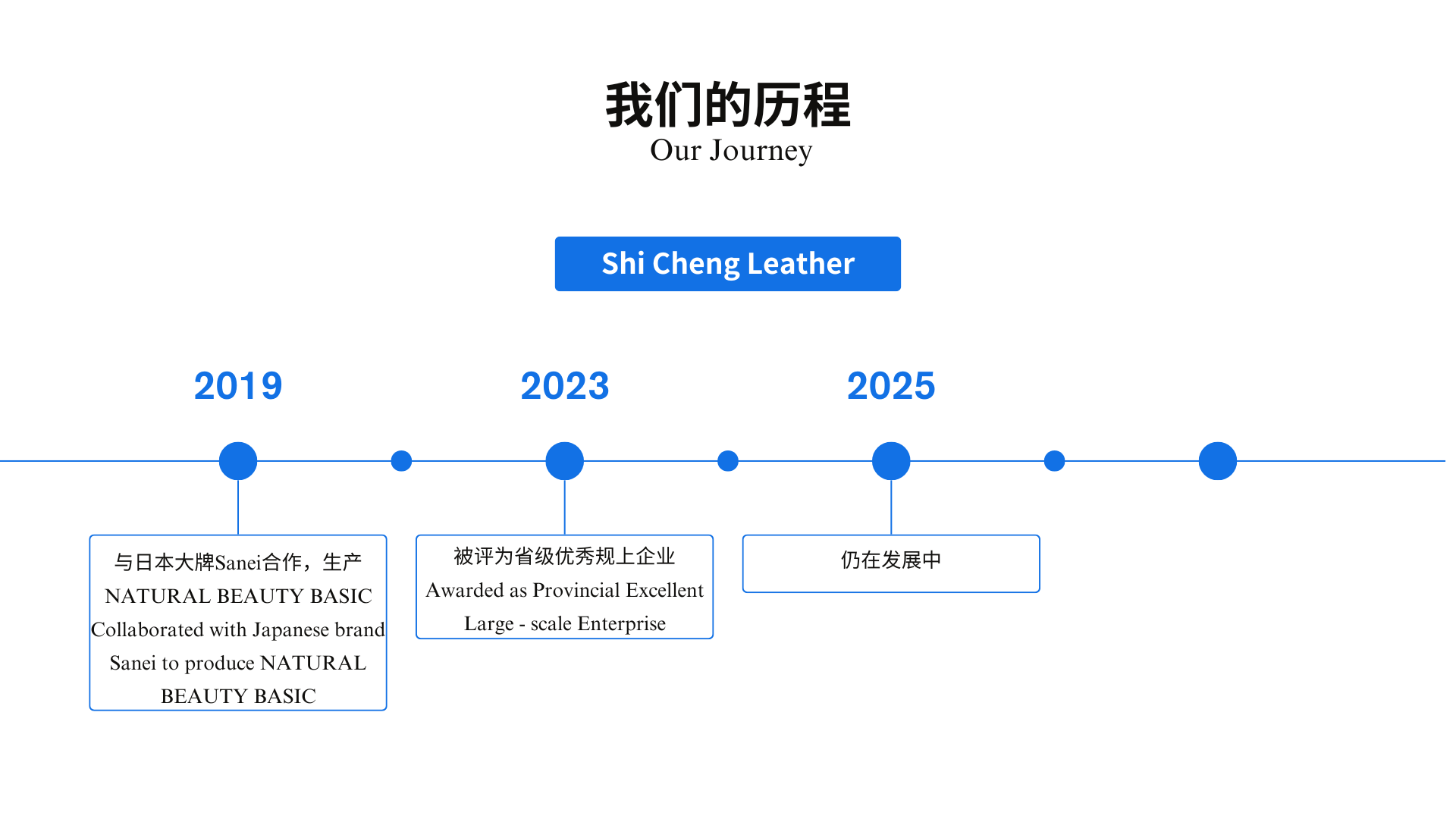 蓝白色商务风企业发展时间轴演示文稿结构图 (1)